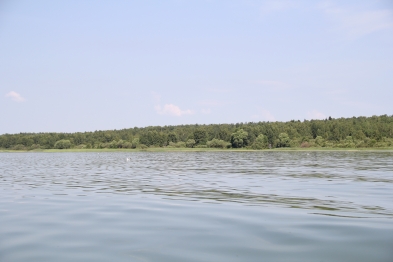 Научные рекомендации по управлению рыбными запасами озера Плещеево
