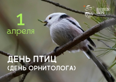 Международный день птиц 