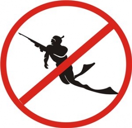 Запрет подводной охоты в границах национального парка