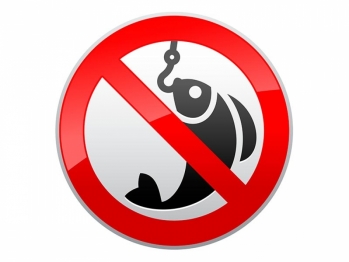 Запрет на мелиоративный, спортивный и любительский лов рыбы