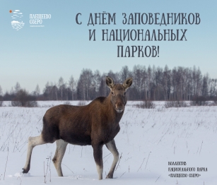 День заповедников и национальных парков. День заповедников и национальных парков.