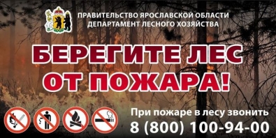 Установлен особый противопожарный режим
