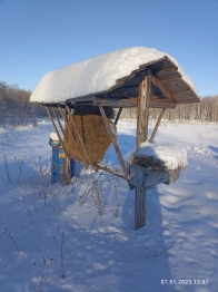 В морозные дни В морозные дни