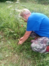 В дендросаду завершился прививочный сезон!
