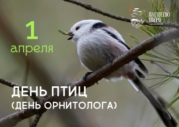 1 апреля – День птиц