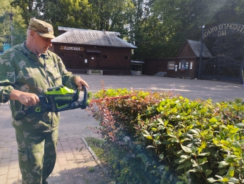 Уход за садом: стриженые живые изгороди.