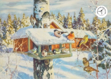 15 января — Всероссийский экологический праздник «День зимующих птиц России» 