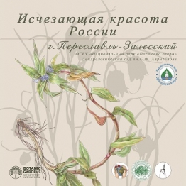 Исчезающая красота России