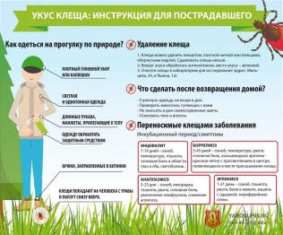 ЧТО ДЕЛАТЬ ПРИ УКУСЕ КЛЕЩА ЧТО ДЕЛАТЬ ПРИ УКУСЕ КЛЕЩА
