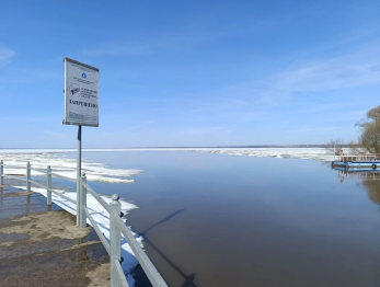 Ранняя весна и половодье на озере Плещеево: что показали наблюдения? 