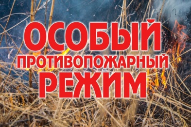 Особый противопожарный режим введен в национальном парке «Плещеево озеро» 