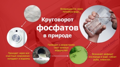 Губительная сила фосфатов или начни помогать природе! Губительная сила фосфатов или начни помогать природе!