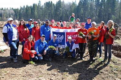 10400 саженцев ели высажено на территории национального парка «Плещеево озеро»