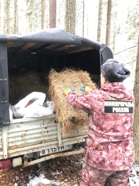 Ежедневная работа