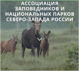 Срочная новость!