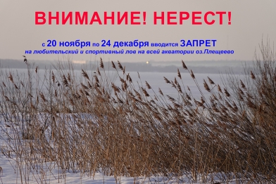 Установлены сроки запрета на спортивный и любительский лов рыбы на всей акватории озера Плещеево  с 20 ноября по 24 декабря 2021 года включительно. 