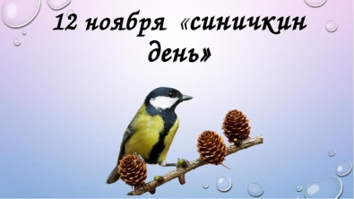12 ноября отмечается Синичкин день!