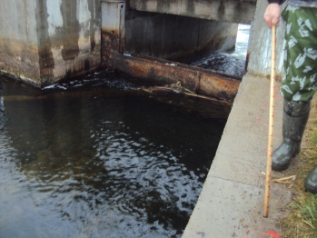 Замер уровня воды в реке Вёкса