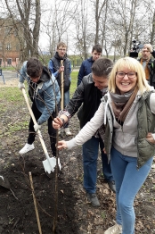 В дар городу