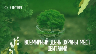 Что мы можем предпринять для защиты биоразнообразия? Что мы можем предпринять для защиты биоразнообразия?