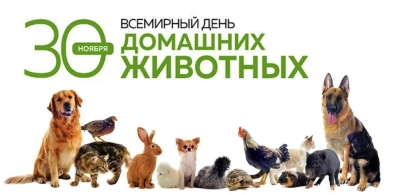 День защиты домашних животных День защиты домашних животных