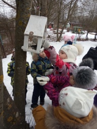 Зимняя забота о птицах 