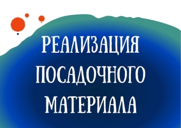 ПЕРЕНОСИТСЯ дата начала реализации саженцев в дендрологическом саду им. С.Ф. Харитонова.