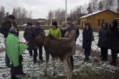 В гостях у национального парка «Лосиный остров»