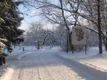 Дендросад зимой