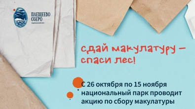 Сдай макулатуру - спаси лес!