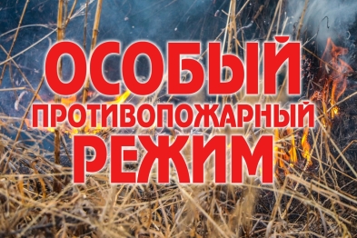 Особый противопожарный режим введен в национальном парке «Плещеево озеро» 
