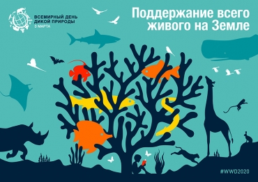 3 МАРТА – ВСЕМИРНЫЙ ДЕНЬ ДИКОЙ ПРИРОДЫ 3 МАРТА – ВСЕМИРНЫЙ ДЕНЬ ДИКОЙ ПРИРОДЫ