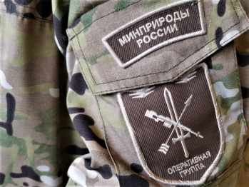 Возбуждено административное расследование