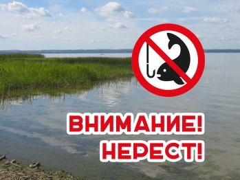 ВНИМАНИЕ, ЗАПРЕТ НА ЛОВ