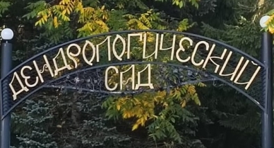 ДЕНЬ ОТКРЫТЫХ ДВЕРЕЙ