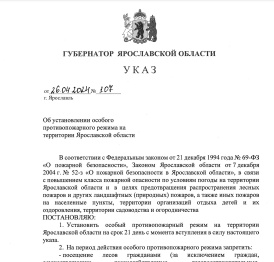 С 28 апреля в Ярославском регионе введен особый противопожарный режим