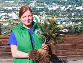 НАЧИНАЕТСЯ РЕАЛИЗАЦИЯ САЖЕНЦЕВ НАЧИНАЕТСЯ РЕАЛИЗАЦИЯ САЖЕНЦЕВ
