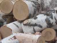 Сколько стоит костёр развести?
