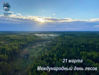 Международный день лесов