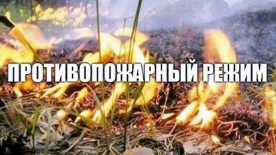 Введение противопожарного режима