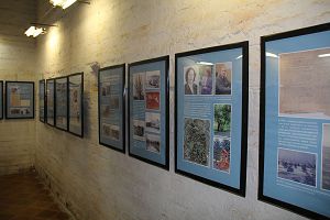 IMG_8378.jpg