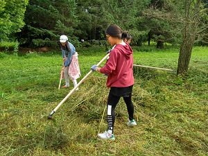 IMG_20170726_143011_HDR.jpg