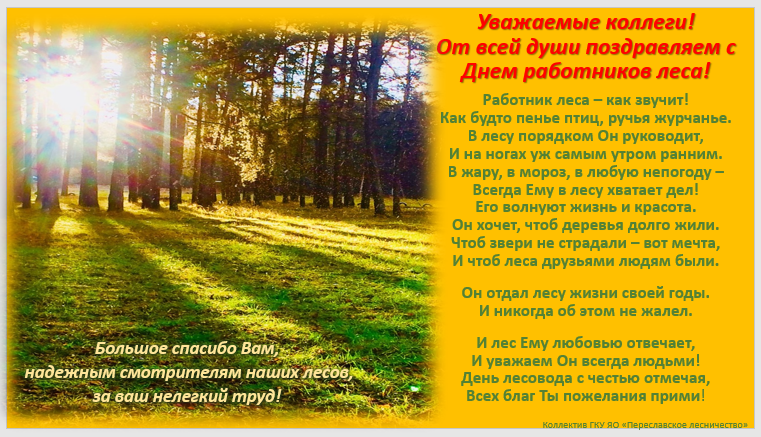 день лесника.png