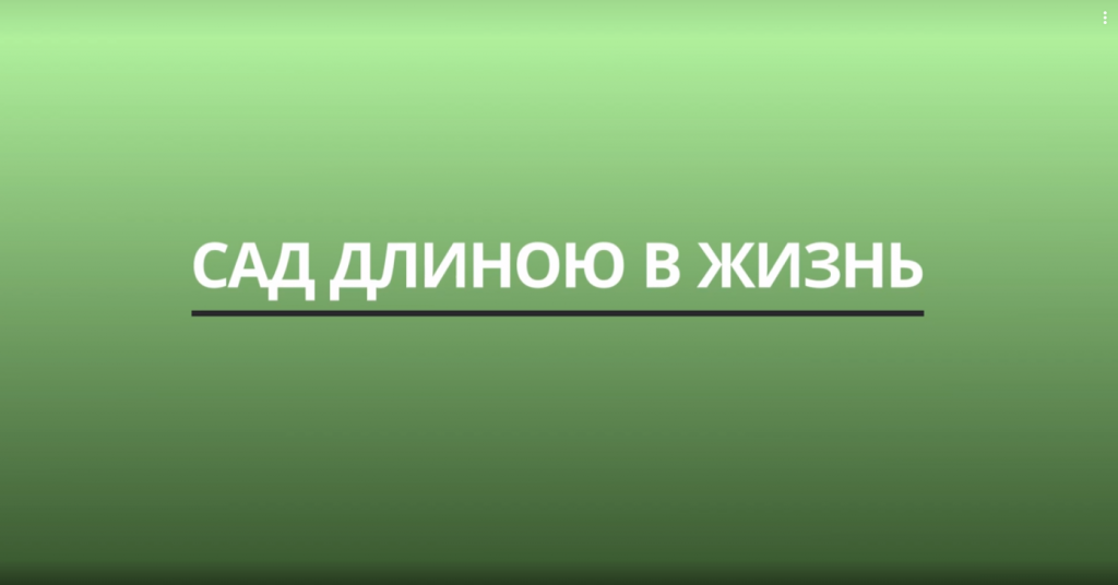 изображение_2021-03-15_123306.png
