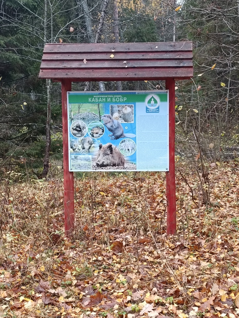 экотропа Кухмарь IMG_20221019_112229 стенд.jpg