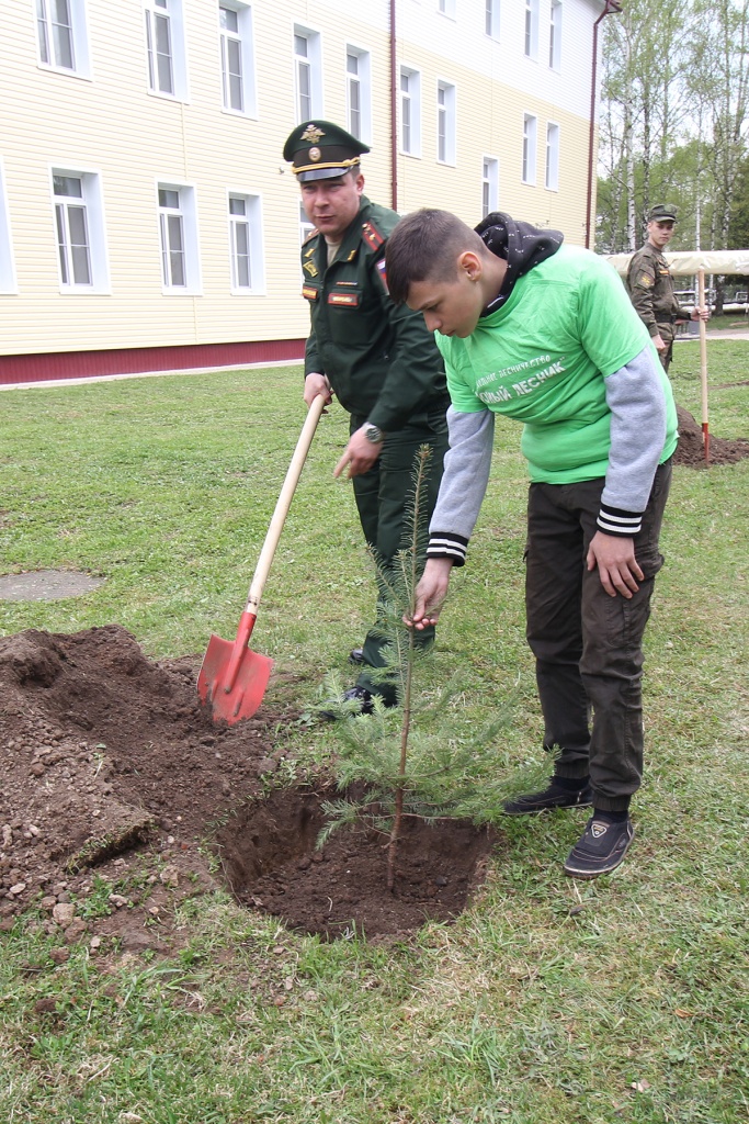 саж ком IMG_6799.jpg
