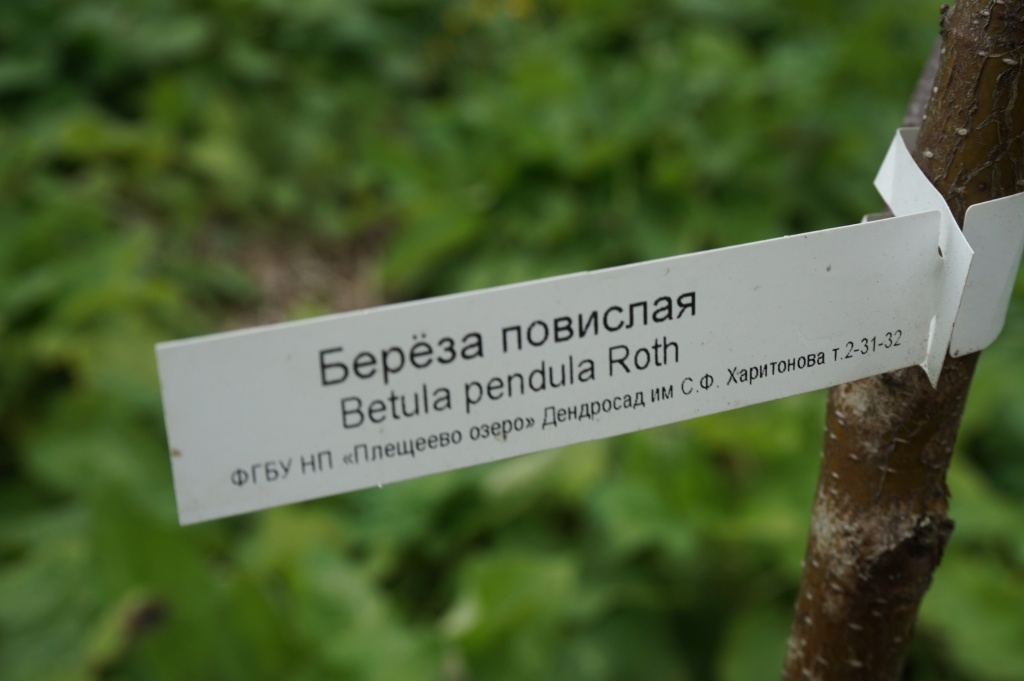 DSC00643.JPG