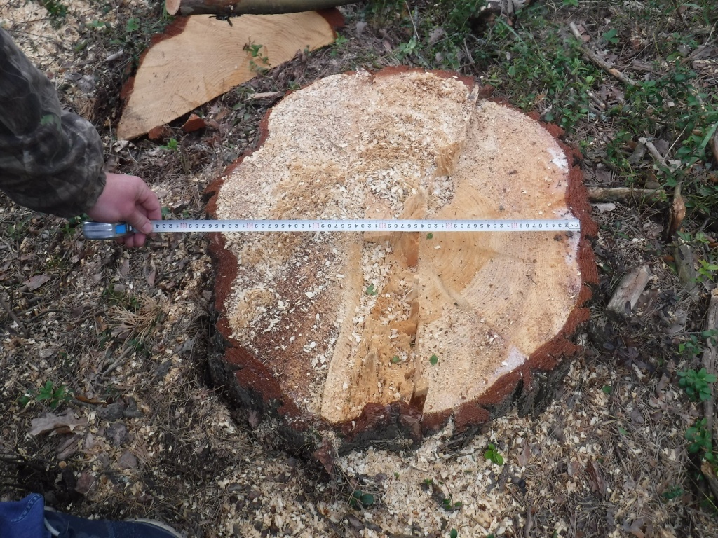 DSCF0718.JPG