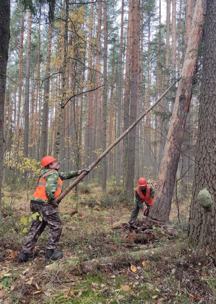 ВСР db4d98d5-4c0f-4181-bc69-0e2b16510cde.jpg