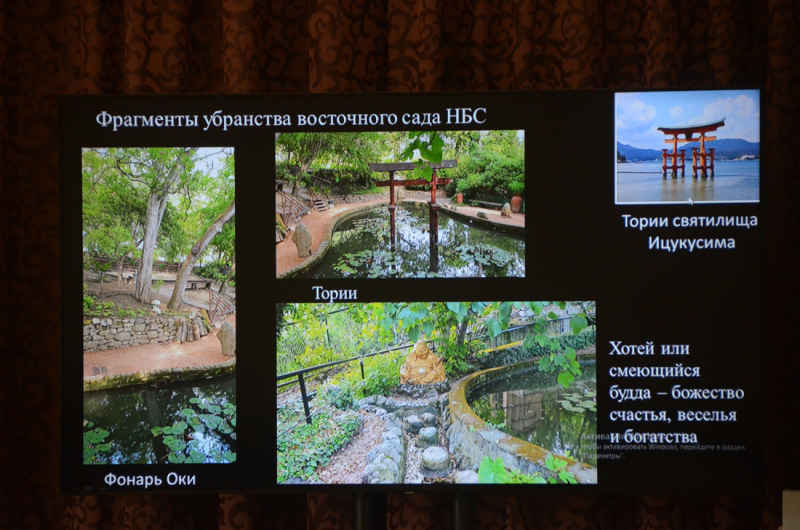 ялта фрагменты НБС NOS_6503.jpg